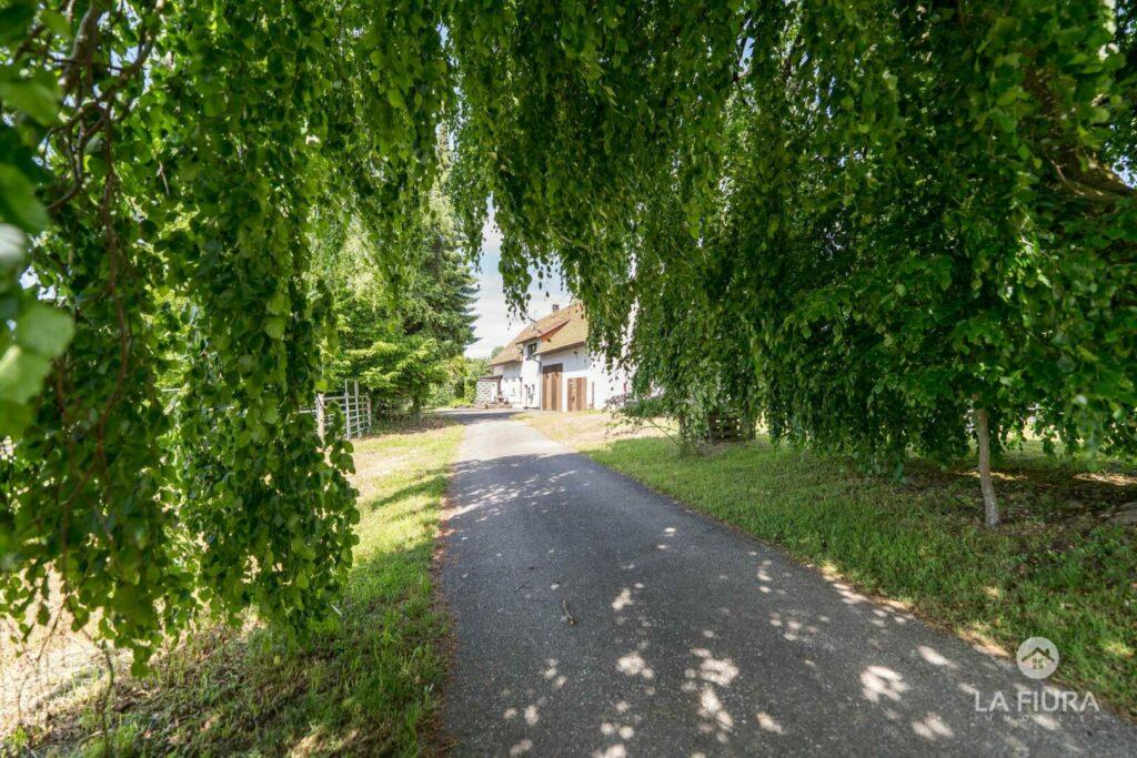 Zufahrt zum Pferdehof