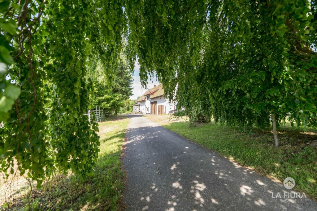 Zufahrt zum Pferdehof