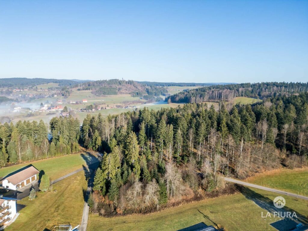 Segeten im Schwarzwald