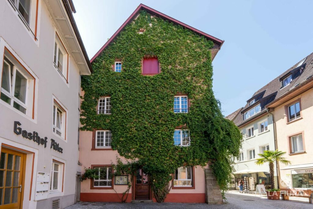 Rheinbrückstr. 7