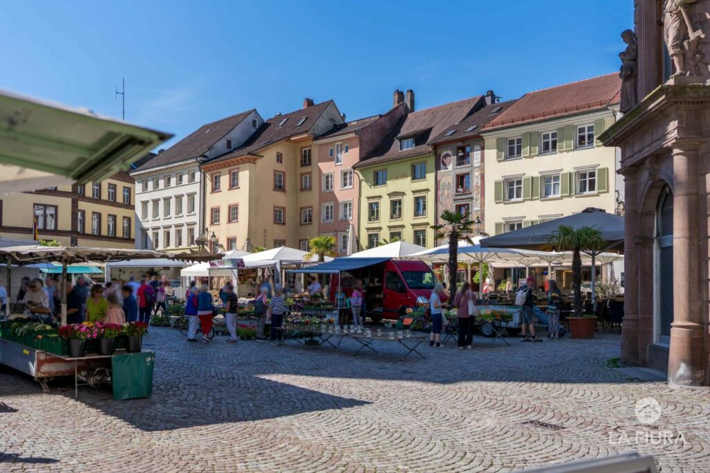 Münsterplatz 24